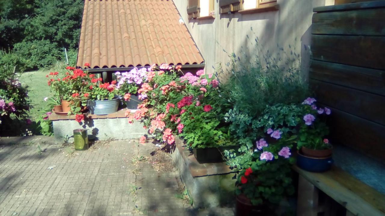 Il Pettirosso Di Giusvalla Exteriör bild