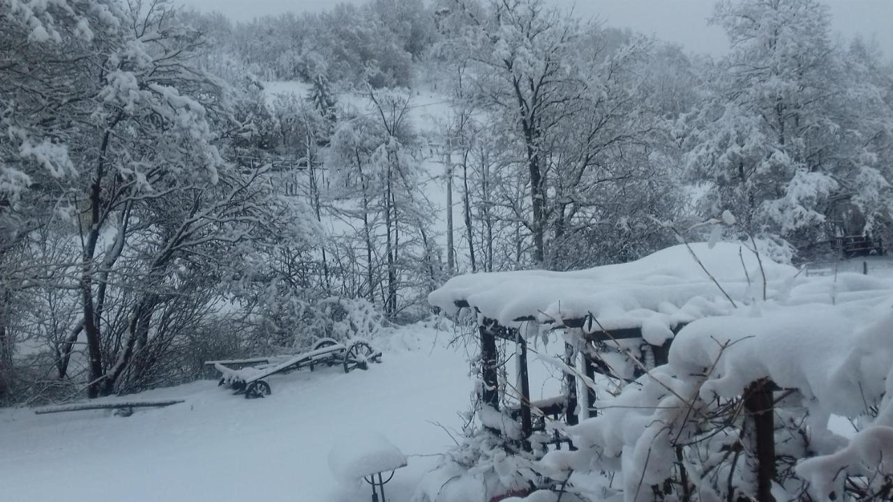 Il Pettirosso Di Giusvalla Exteriör bild