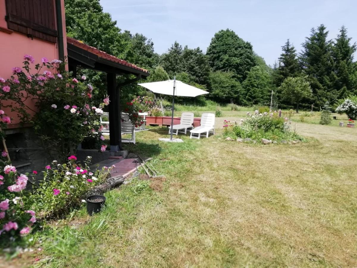 Il Pettirosso Di Giusvalla Exteriör bild