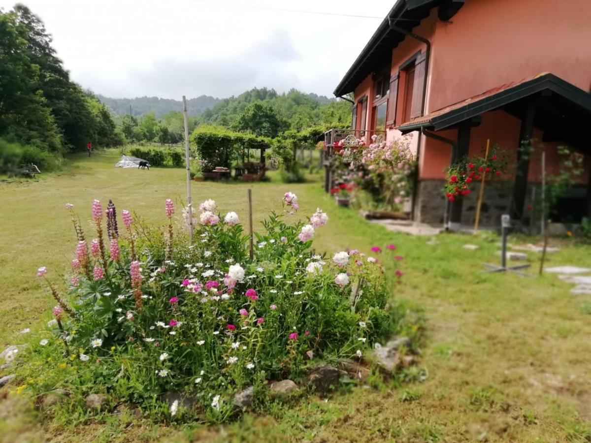 Il Pettirosso Di Giusvalla Exteriör bild