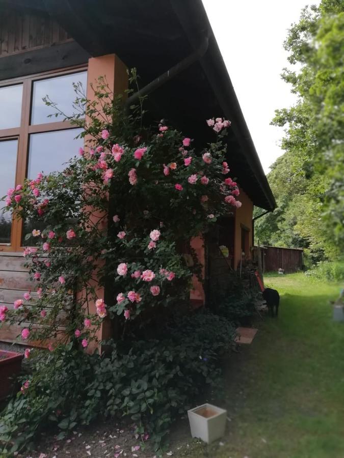 Il Pettirosso Di Giusvalla Exteriör bild